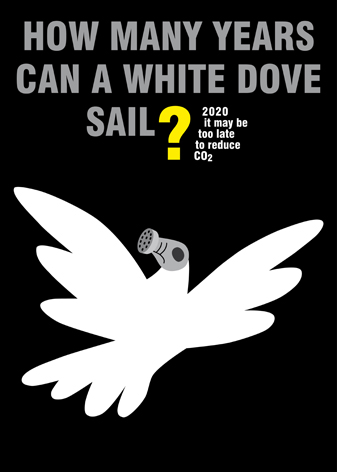 how many years can a white dove sail